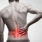 Spine Spine
