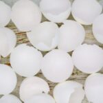 EggShell2 EggShell2